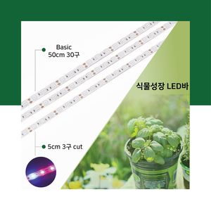 식물성장LED바